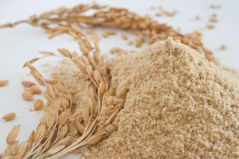 Wheat Bran - Balingi Trading Company (PTY) Ltd - South Africa