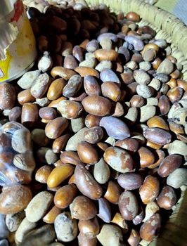Nutmeg Form Uncut Freshness Level Dried Delivery Form Other, Package Features Fair Trade, Organic, Without Additives, Without Colourants, Without Flavor Enhancers - NAMU NAMU GROUP - Nigeria