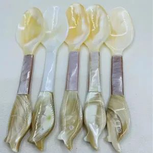 Elegant Natural Mother of Pearl Spoon of Artistic Fish Handle - Feiya Group Co., Limited - China