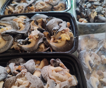 Frozen whole blanched snails from Heartydees Farm Frozen whole blanched snails - Heartydees Farm - Nigeria