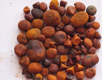 COW GALLSTONE Type COW - AGRO AFRIQUE COMPANY LIMITED - Tanzania