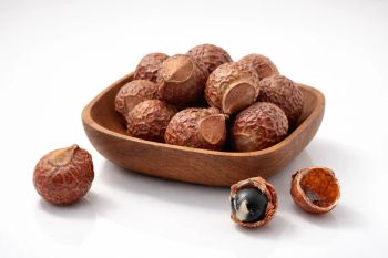 Premium Seedless Reetha (Soapnut) from Nepal | 25 MT Bulk Export Supply - Sebika Enterprises - Nepal