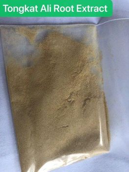 Tongkat Ali Extract 100:1 and 200:1 from PT West Borneo Nusantara Tongkat Ali Extract 100:1 and 200:1 - PT West Borneo Nusantara - Indonesia