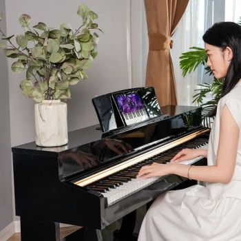Bd Music 8803 Wooden Hammer Action 88 Keys Electronic Organ Grand MIDI Digital Piano Musical Keyboard Instruments - Quanzhou Badu Electronic Technology Co., Ltd. - China