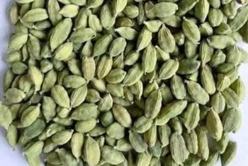 Whole Cardamom 8mm++ from Radiant Nuts and Spices Pvt.Ltd Whole Cardamom 8mm++ - Radiant Nuts and Spices Pvt.Ltd - India