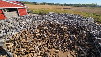 Ash Firewood for Energy  wood  Fuel for Heating and Cooking High Efficiency Natural Clean Burn Wood for Home and Outdoor Use Ideal for Winter Warmth and Cooking Needs - wood traders - Poland