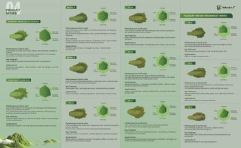 Matcha Tea from Sichuan Yongsheng Matcha Manufacturer Matcha Tea - Sichuan Yongsheng Matcha Manufacturer - China