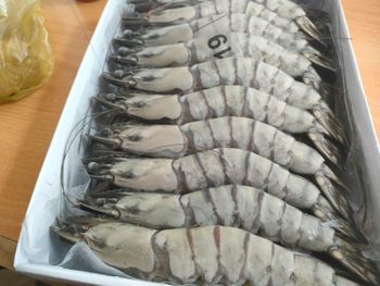 BLACK TIGER SHRIMP (HOSO) - Nau Indo supply - Indonesia