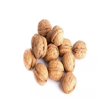 Natural organic walnuts for wholesale walnut kernel in bulk Grade A Purity ≥99% Model Number Walnuts Flavor Rich, Buttery - GOLDEN STAR BV - South Africa