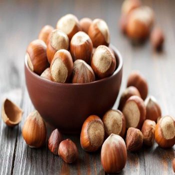 Organic 100% Natural Premium Quality Hazelnut Kernels Shell Quality Dried Raw Hazelnut Wholesale Food Color - Carla Pisselli Commercio - Brazil