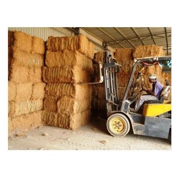 Wholesale Natural Palm Fiber / Sisal Fiber / Coconut Fiber for sale from Exigentelaxia Unipessoal Lda Wholesale Natural Palm Fiber / Sisal Fiber / Coconut Fiber for sale - Exigentelaxia Unipessoal Lda - Portugal