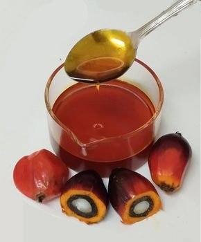 CPO, PALM ACID OIL, HIGH FFA OIL, RBD STERIN, Palm Methyl Esters (PME) & Fatty Acid Methyl Esters (FAME from Vital Palm Oil Ventures (M) Sdn Bhd CPO, PALM ACID OIL, HIGH FFA OIL, RBD STERIN, Palm Methyl Esters (PME) & Fatty Acid Methyl Esters (FAME - Vital Palm Oil Ventures (M) Sdn Bhd - Malaysia