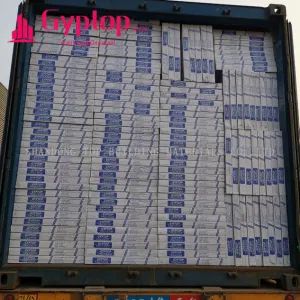 PVC Laminated Gypsum Ceiling Tiles/Ceiling System - SHANDONG TOP BUILDING MATERIALS CO., LTD. - China