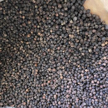 promotion Dry Black Pepper 550 GL Light Dried Black Pepper High Quality Black Peppercorn - NUTRIDIET LDA - United Kingdom