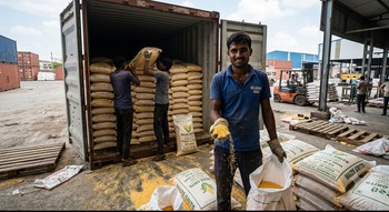 Yellow corn grits - Axiom industries - India