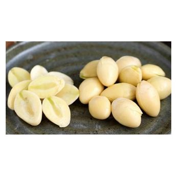 High Quality GINKGO NUTS Available For Sale Grade A Type Ginkgo nuts Max. Moisture (%) 5 Culinary Use Used In Stir-fries, Soups, And Desserts -  CALIPSO POLSKA SP Z OO  - Poland
