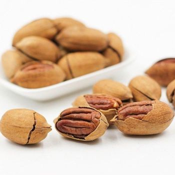 Natural Pecans Nuts Raw Whole Pecan Kernels Clean Fresh Premium Quality Rich Flavor Perfect For Healthy Diet Food Processing And Wholesale Supply Buy Today Fast Delivery Premium Quality - wood traders - Poland