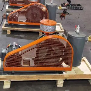 Energy-Saving Rotary Silding Vane Air Pump for Sedimentation Tank Aeration - Shandong Zhaner Machinery Co., Ltd. - China