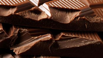 COCOA BUTTER SUBSTITUTE (CBS) - malter group - Tanzania