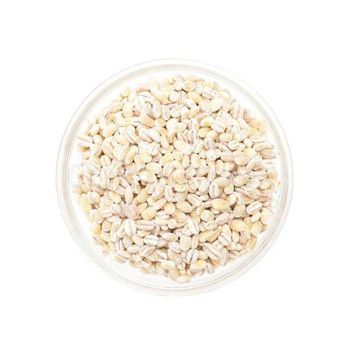 Wholesale barley grain bulk stock for supermarkets and distributors - MASI TRADING GMBH - Germany