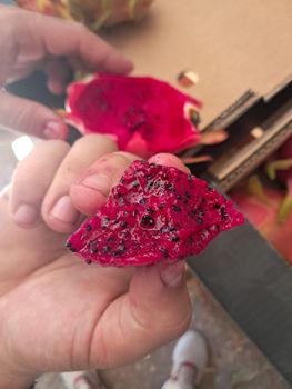 Fresh dragon fruit - ART LOG MAROC - France