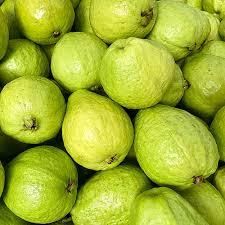 Fresh Guava Grade Top Grade Packaging Buyer - ABOLLEJI SIA - Latvia