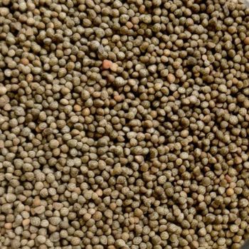 Carefully Cleaned Whole Perilla Seeds Featuring Rich Flavor And Healthy Benefits For Wholesale Buyers - malter group - Tanzania