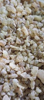 Frankincense Resin Boswellia Carterii (2025 Harvest) Origin Somaliland Grade 3 Grades (A, B, Commercial) Available Grades A, B, And Commercial Grade - Sacred Resins - United Kingdom