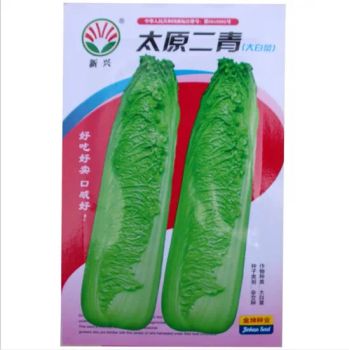 Touchhealthy Supply Good Germination Rate Chinese Cabbage Plant Seeds - Shanghai Touchhealthy Biotechnology Co., Ltd - China