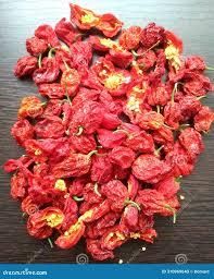 habanero chillies Origin Kibwezi, Kenya Processing Method - Kabukuru Brothers Ltd - Kenya