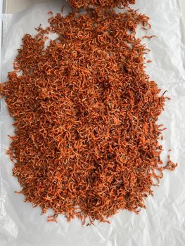 (Leonotis leonurus) Dagga Wild Flower Petals for sales supply from juan (Leonotis leonurus) Dagga Wild Flower Petals for sales supply - juan - Peru