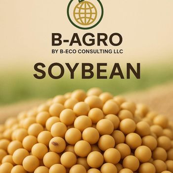 Soybean from B-Eco Consulting LLC Soybean - B-Eco Consulting LLC - United States