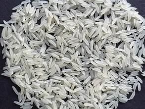 1509 Basmati Rice - DHENGAL TRADER (SMC-PRIVATE) LIMITED - Pakistan