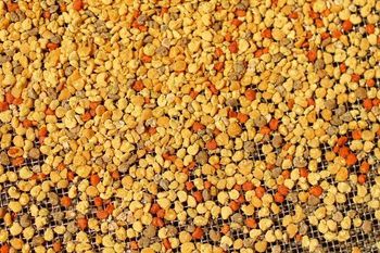 Premium Natural Bee Pollen Granules Rich In Vitamins Minerals And Antioxidants For Daily Wellness And Healthy Nutrition - CPW TRADE LTD - United Kingdom