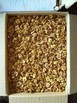 Organic Sun-Dried Walnuts in Shell High Protein Raw Processing Direct Wholesale From Natural - PLANETE COMMERCE - France