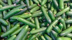 Gherkins (Export Quality from India) - AGROCARTE EXIM ENTERPRISES PVT LTD - India