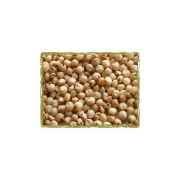 Bulk sorghum grains wholesale ready for international importers from HIGHPROFILE AGRICULTURE SERVICES LIMITED Bulk sorghum grains wholesale ready for international importers - HIGHPROFILE AGRICULTURE SERVICES LIMITED - Tanzania
