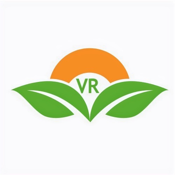 Fresh Ginger Delivery Form Bag Freshness Level Dried, Fresh Features Fair Trade, No Preservatives, Vegetarian, Without Additives, Without Flavor Enhancers - VR Enterprises - India