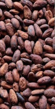 Premium Raw Cocoa Beans from Cameroon – Available for Export from Kesita Global Premium Raw Cocoa Beans from Cameroon – Available for Export - Kesita Global - Cameroon