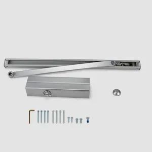 Two-Way Concealed Hold-Open Aluminum Automatic Hydraulic Door Closer for Hotels - Wenzhou Liwang Hardware Technology Co., Ltd. - China