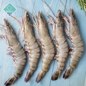 Frozen Tiger Shrimps Premium Marine Harvest Featuring Impressive Meat Content Rich Taste And Reliable Cold - TOSOH INTERNATIONAL - South Africa
