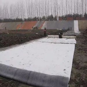 High-Strength Geosynthetic Clay Liner for Engineering Reinforcement and Protection - Shandong Tianren New Materials Co., Ltd. - China