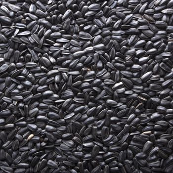 Sunflower Seed Oil - BASSEM JANOUDI E TICARET - Turkey