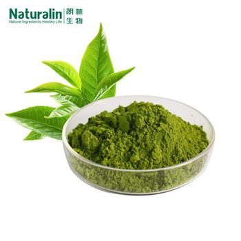 Matcha Powder from Naturalin Bio-Resources Co , Ltd Matcha Powder - Naturalin Bio-Resources Co , Ltd - China