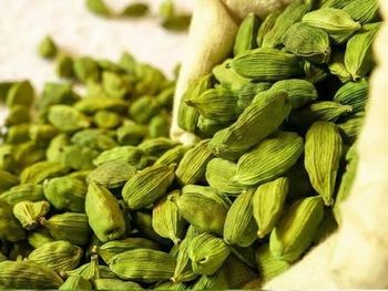 Premium Honduran Dried Cardamom for Bulk Export | 20-Foot Container MOQ from EXCAH Premium Honduran Dried Cardamom for Bulk Export | 20-Foot Container MOQ – product photo, Dried Annatto Seeds products found from trusted suppliers, wholesalers, manufacturers & exporters Listing
