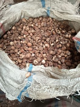 Roasting Betelnut grade 70/75 - Agro Mart - Indonesia