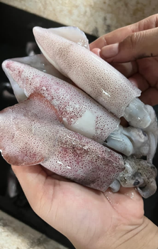 Fresh and Frozen fish Fish Type Mackerel, Tuna Catch Method Wild-Caught Freshness Level Fresh, Frozen Degree of Processing Whole Fish - CV Ocean Blue - Indonesia