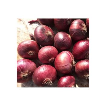 Exporters Big Red Onion Fresh Red Onion - HIGHPROFILE AGRICULTURE SERVICES LIMITED - Tanzania