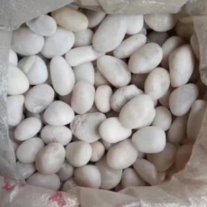 Natural White River Rock Stone Pebbles for Garden Landscape Decoration - Quanzhou Tianyuan Stone Co., Ltd. - China