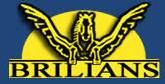 Product - Brilians (China) Musical Instruments - China